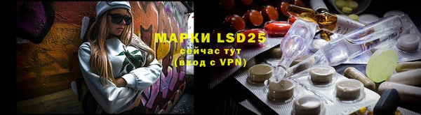 PSILOCYBIN Медвежьегорск