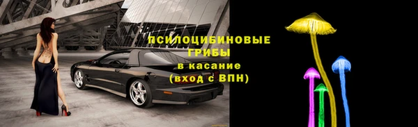 хмурый Медногорск