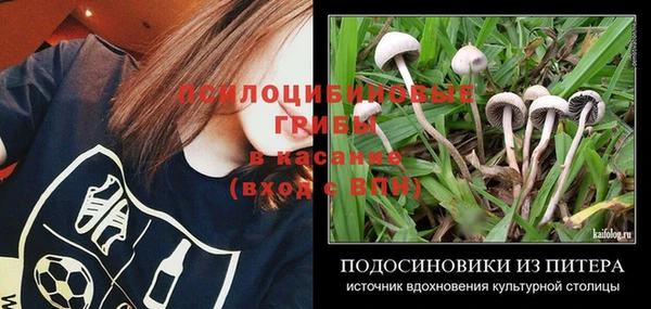 хмурый Медногорск