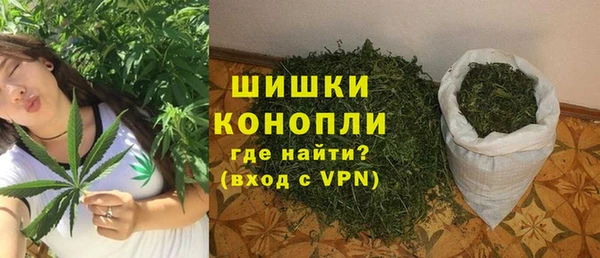 PSILOCYBIN Медвежьегорск