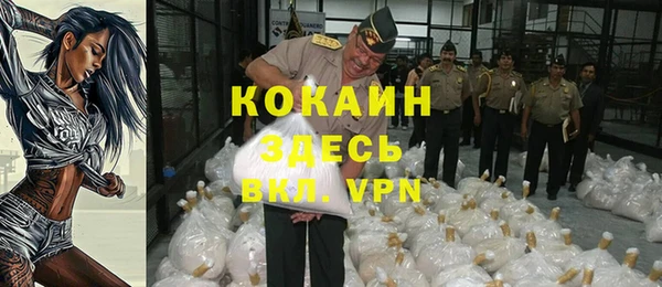 PSILOCYBIN Медвежьегорск