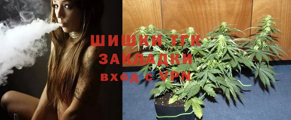 PSILOCYBIN Медвежьегорск