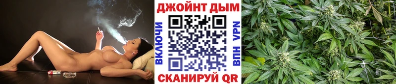 Бошки марихуана OG Kush  Купить закладки  Калач 